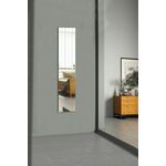 Rectangular Stripe - 5 x 100 cm ( 5 Pieces ) - Silver Silver Mirror