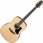 Ibanez Akustična gitara AAD50-LG