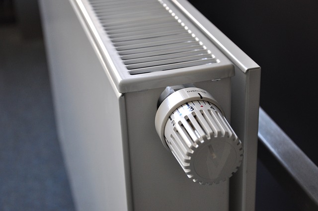 Radijator s termostatom