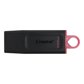 Kingston 256GB USB memorija