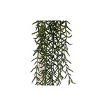 Viseća biljka u saksiji Grass 10x92cm