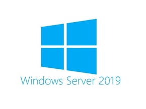 MICROSOFT Windows Server CAL 2019 English 1pk DSP OEI 5 Clt Device CAL (R18-05829)