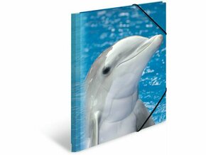 Herma Fascikla PP sa gumicom Dolphin 240x320x15mm