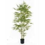 Lilium dekorativni bambus 175cm 567277