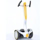 Bez brenda Dečiji Self-Balancing Electric Scooter 12V Sivi Rollplay