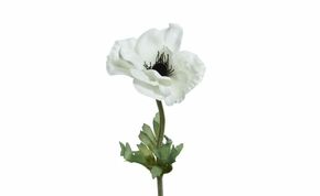 Veštački cvet Šumarica 10x57cm beli