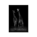 DekorDom Slika sa ramom 27x37cm 31020 Giraffe