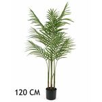 Lilium dekorativna palma Areka 120cm 567276