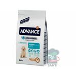 Advance Hrana za štence velikih rasa Puppy Protect Maxi 3kg