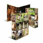 Herma Registrator Animal World Farm 285x315x70mm