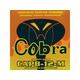 Cobra Žice za akurtičnu gitaru CAPB-12-M