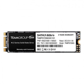 TeamGroup MS30 SSD 256GB
