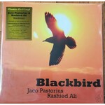 Pastorius Jaco i Rashied Blackbird yellow vinyl