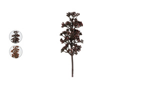 Dekorativna grana Acacia 54 cm više vrsta