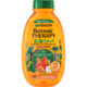 Garnier Botanic Therapy kids Apricot 2U1 – dečji šampon i balzam