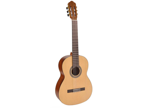 Salvador Klasična gitara CS-244