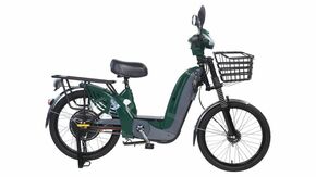 Električni bicikl 22" GLX-A-3 250W 48V/12Ah zelena