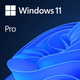 MICROSOFT Windows 11 Pro OEM 64bit English FQC-10528