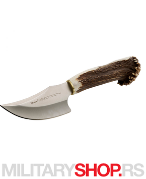 Tradicionalni lovački nož Muela Sabueso 11S