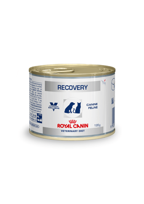 Royal Canin Hrana za pse i mačke Recovery 195g