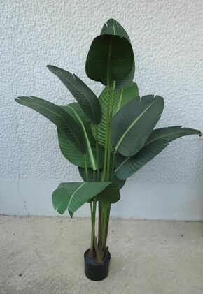 Lilium dekorativno stablo banane 160cm GKN11011