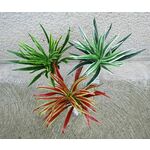Veštačka biljka Dracena u tri boje 50 cm 205273