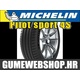 Michelin letnja guma Pilot Sport 4, XL 275/35R19 100Y