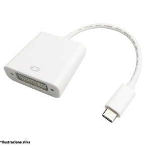 FAST ASIA adapter USB C 3.1 na DVI (m/ž)