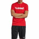 Hummel Ts Majica Hmlgo Cotton Logo T-Shirt S/S 203513-3062