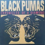 Black Pumas Chronicles Of A Diamond red transparent vinyl