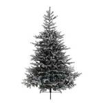 Bez brenda Novogodišnja jelka Grandis fir snowy 120cm-91cm Everlands