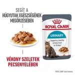 Royal Canin Hrana za mačke Urinary care 85g