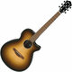 Ibanez Akustična ozvučena gitara AEG50-DHH