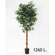 Lilium dekorativni zeleni bendžamin 170cm 567287