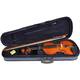 Leonardo Violina komplet 4/4 LV-1044