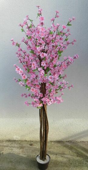 Lilium dekorativno stablo trešnje 165cm 877826