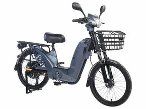 Električni bicikl 22" GLX-A-3 250W 48V/12Ah siva