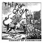 POP GROUP THE CABINET OF CURIOSITIES