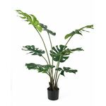 Lilium dekorativni filadendron 125cm 567267