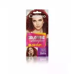 Kolor šampon za kosu CAMELEO bez amonijaka 66.56 - DELIA