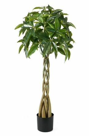Lilium dekorativno stablo šeflera 120cm 567297