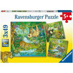 Ravensburger puzzle - slagalice - Dzungla