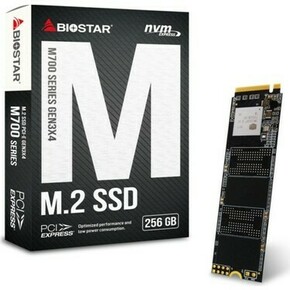 Biostar M700 SSD 512GB