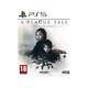 Focus Home Interactive Igrica PS5 A Plague tale Innocence