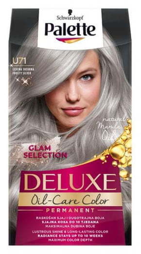 PALETTE DELUXE boja za kosu Frosty silver 9