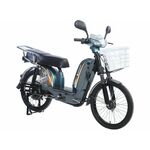 Električni bicikl 22" GLX-A-2 (D/S) 250W 48V/12Ah zelena
