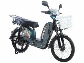 Električni bicikl 22" GLX-A-2 (D/S) 250W 48V/12Ah zelena