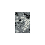 Tepih Shiraz Impress 160x230cm tamno sivi