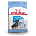 Royal Canin MAXI PUPPY – hrana za velike rase pasa od 2. do 15 meseca života 10kg