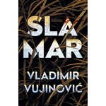 Slamar Vladimir Vujinovic